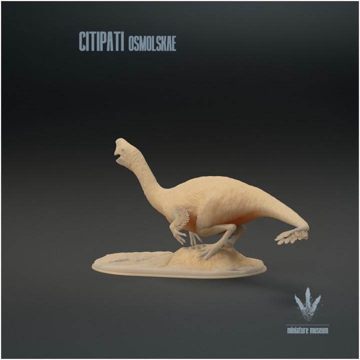 Citipati osmolskae : Big Mama - UNPAINTED - Miniature Museum