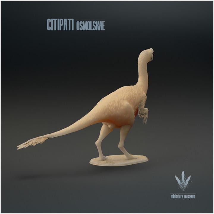 Citipati osmolskae : Mongolian Oviraptor - UNPAINTED - Miniature Museum