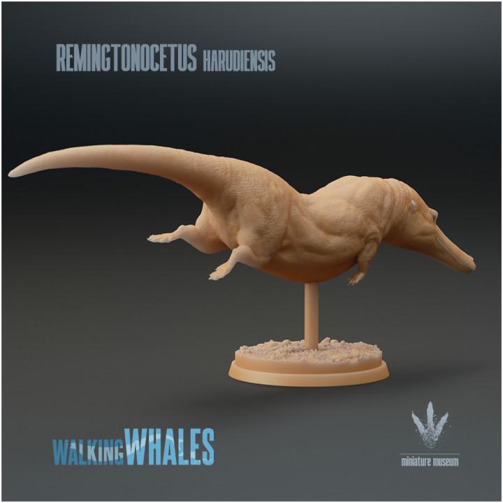 Remingtonocetus harudiensis : The Slender Whale - UNPAINTED - Miniature Museum
