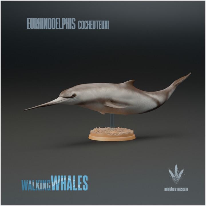 Eurhinodelphis cocheuteuxi : Well-nosed Dolphin - UNPAINTED - Miniature Museum