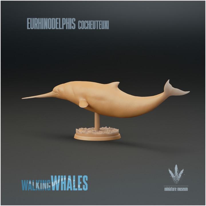 Eurhinodelphis cocheuteuxi : Well-nosed Dolphin - UNPAINTED - Miniature Museum