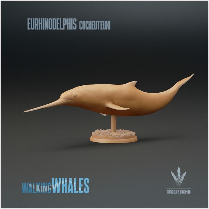 Eurhinodelphis cocheuteuxi : Well-nosed Dolphin - UNPAINTED - Miniature Museum