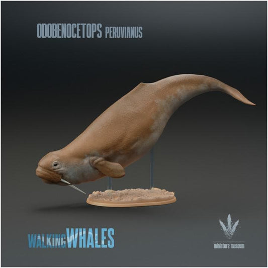 Odobenocetops peruvianus : The Walrus Dolphin - UNPAINTED - Miniature Museum