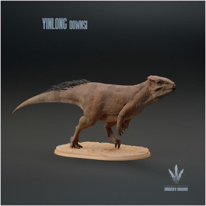 Yinlong downsi : Walking - UNPAINTED - Miniature Museum