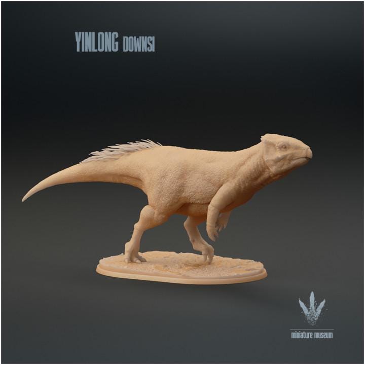Yinlong downsi : Walking - UNPAINTED - Miniature Museum