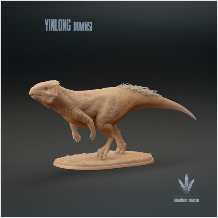 Yinlong downsi : Walking - UNPAINTED - Miniature Museum