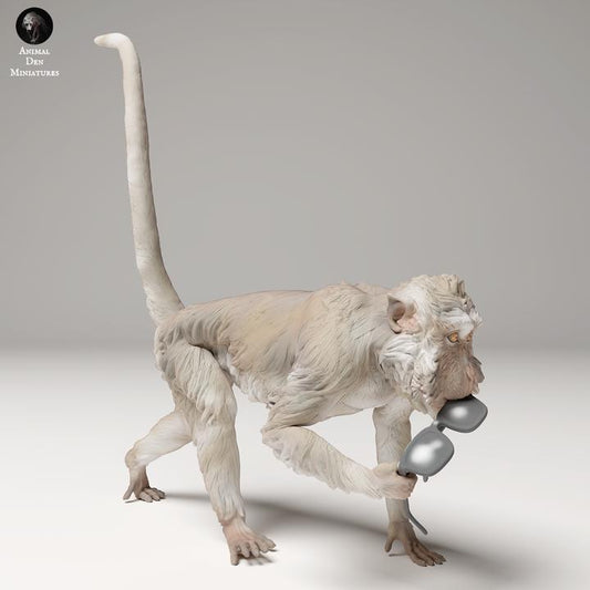 Crab_eating Macaque steals Glasses - UNPAINTED - Animal Den Miniatures