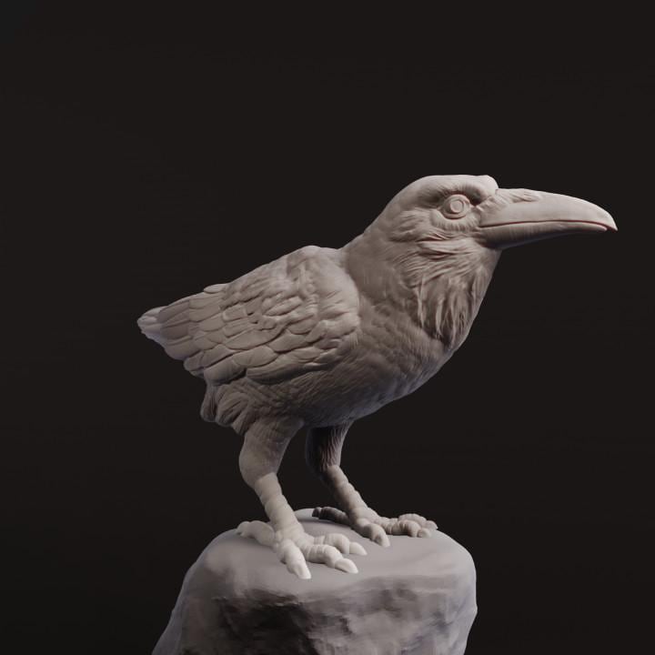 Raven - UNPAINTED - Animals & Creatures Minis