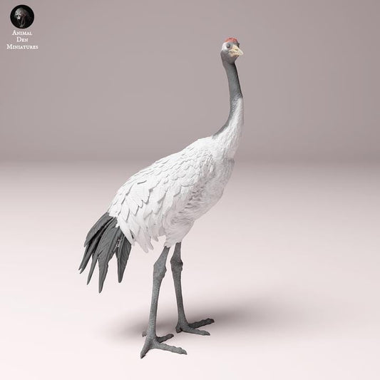 Red-Crowned Crane - UNPAINTED - Animal Den Miniatures