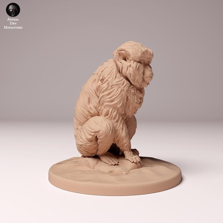 Japanese Macaque Sitting - UNPAINTED - Animal Den Miniatures