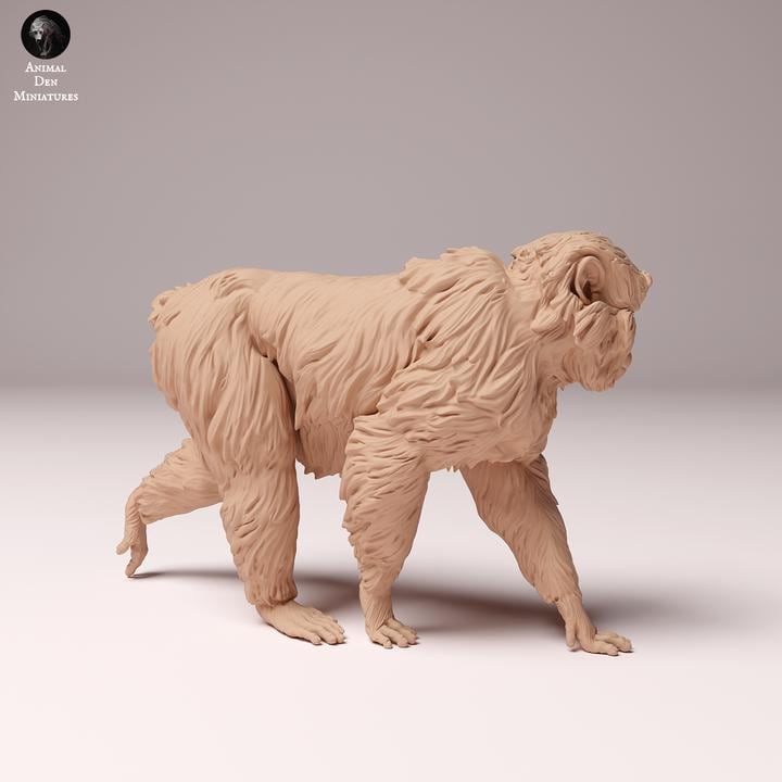 Japanese Macaque - UNPAINTED - Animal Den Miniatures
