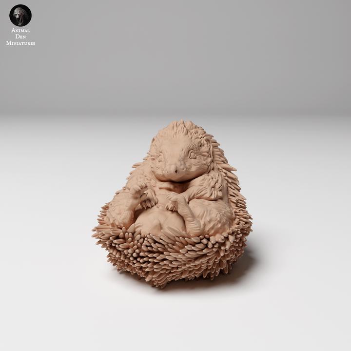 European Hedgehog Curled Up - UNPAINTED - Animal Den Miniatures