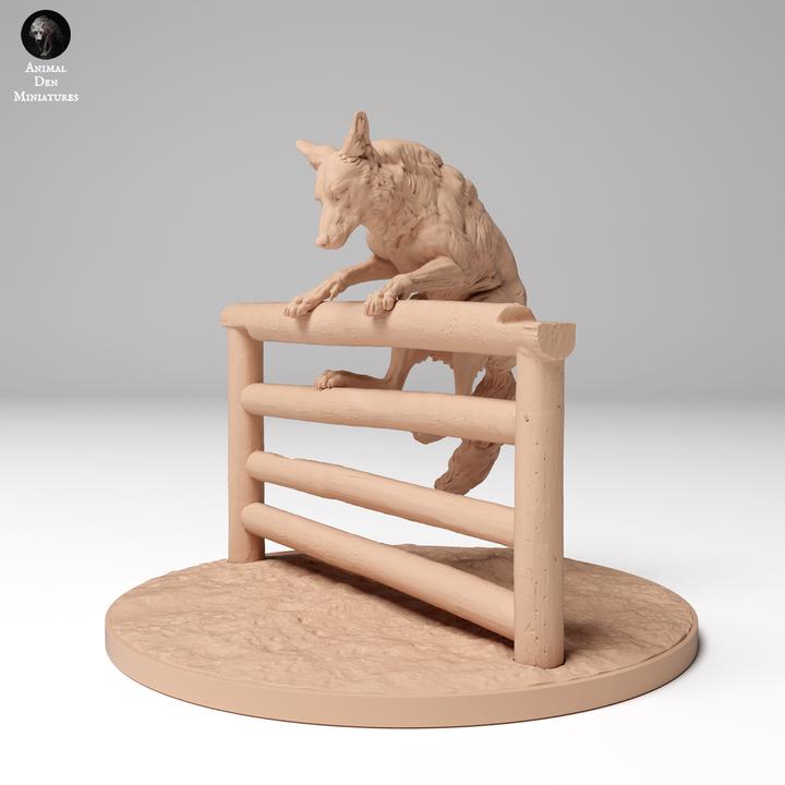 Coyote Jumping Fence - UNPAINTED - Animal Den Miniatures