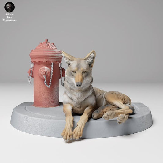 Coyote Lying - UNPAINTED - Animal Den Miniatures