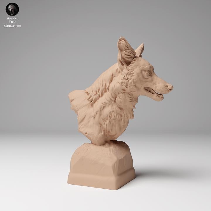 Coyote Bust - Animal Den Miniatures
