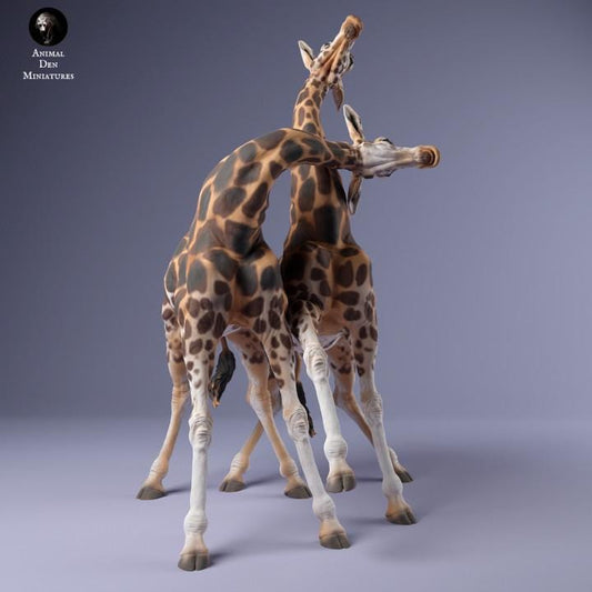 Rothschild's Giraffe Males Fight - UNPAINTED - Animal Den Miniatures