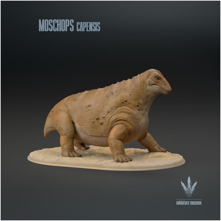 Moschops capensis : The Calf Face - UNPAINTED - Miniature Museum