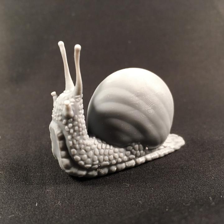 Snail - UNPAINTED - Animals & Creatures Minis