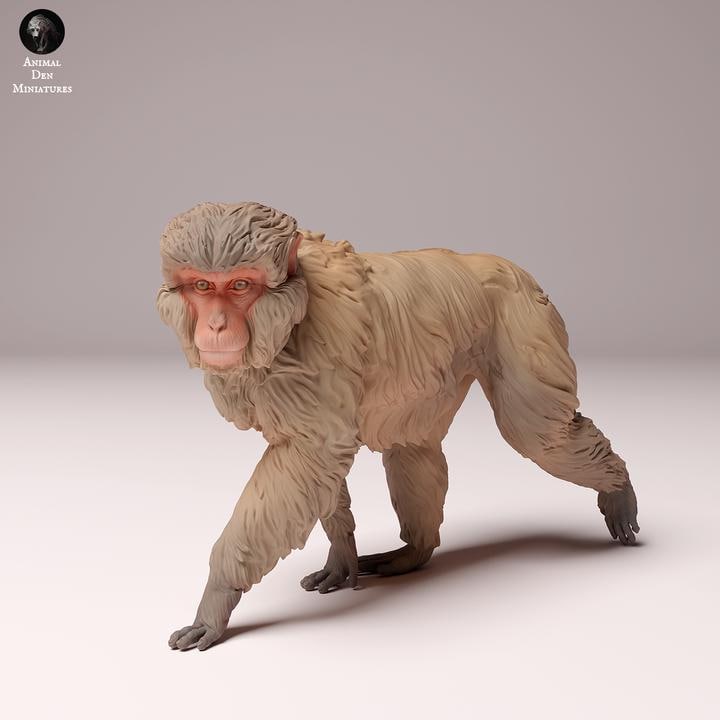 Japanese Macaque - UNPAINTED - Animal Den Miniatures