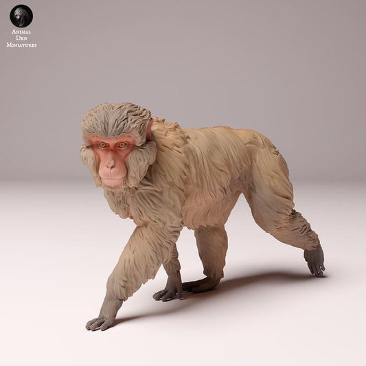 Japanese Macaque - UNPAINTED - Animal Den Miniatures