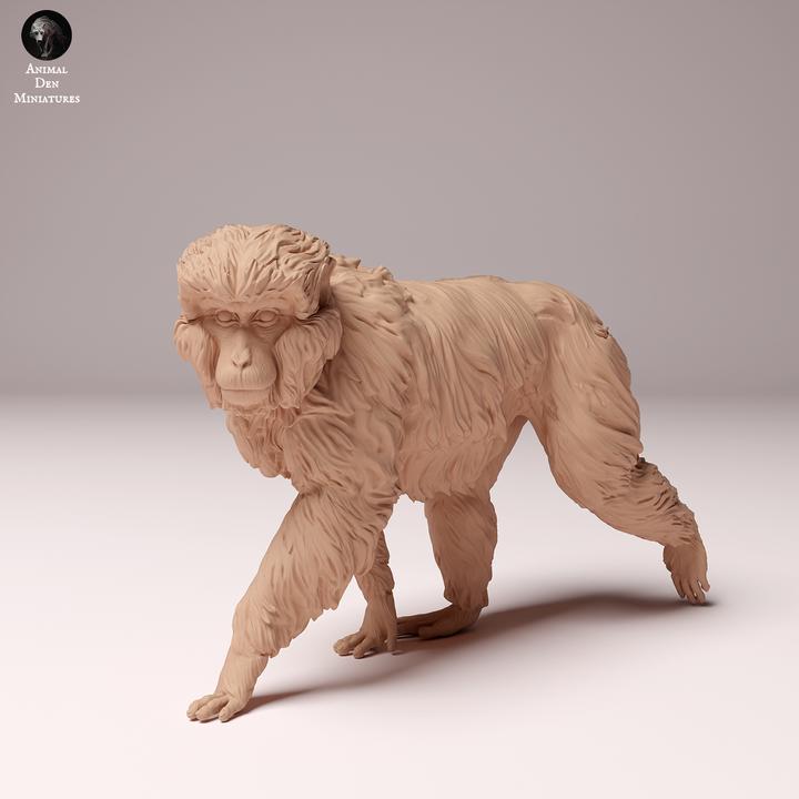 Japanese Macaque - UNPAINTED - Animal Den Miniatures