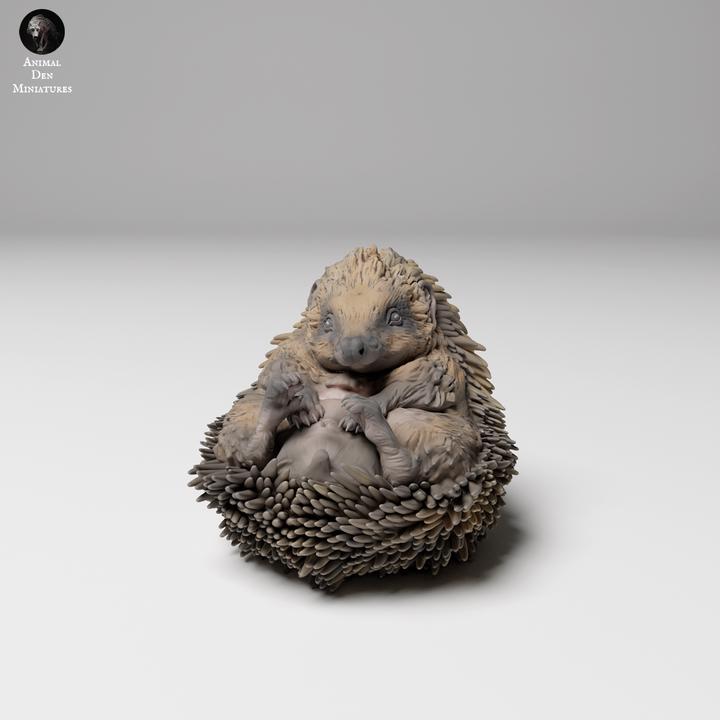 European Hedgehog Curled Up - UNPAINTED - Animal Den Miniatures