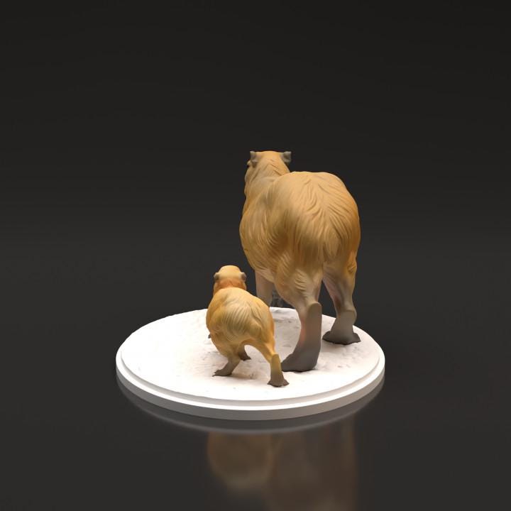 Capybara Female and baby- UNPAINTED - Animal Den Miniatures