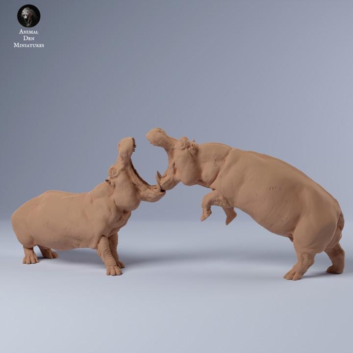 Hippos Fighting - UNPAINTED 3D resin print/figue - Animal Den Miniatures
