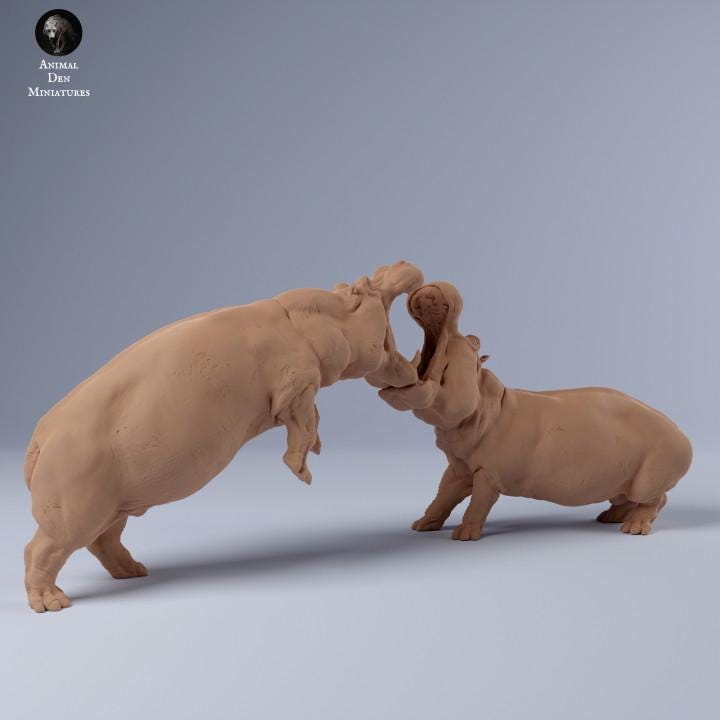 Hippos Fighting - UNPAINTED 3D resin print/figue - Animal Den Miniatures