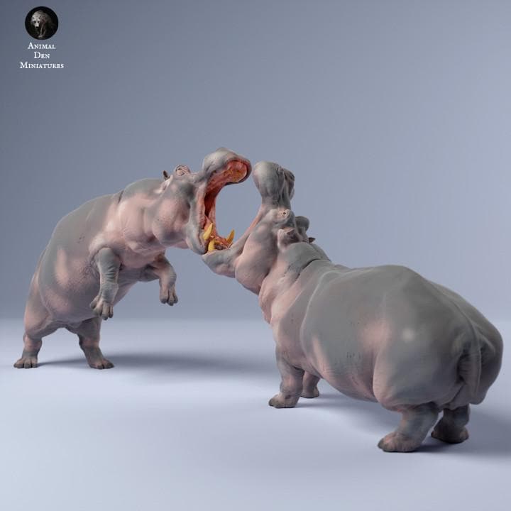 Hippos Fighting - UNPAINTED 3D resin print/figue - Animal Den Miniatures