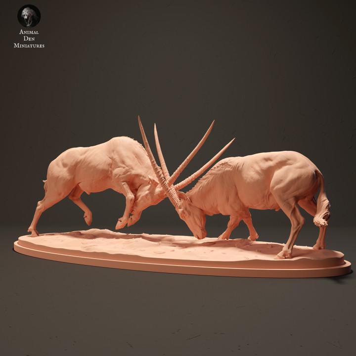 Gemsboks Fighting - UNPAINTED - Animal Den Miniatures