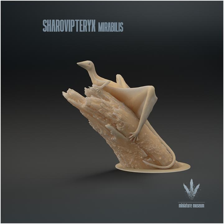 Sharovipteryx mirabilis - Landed - UNPAINTED - Miniature Museum