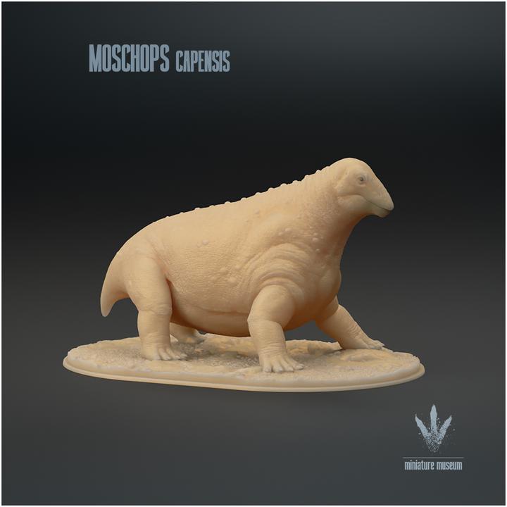 Moschops capensis : The Calf Face - UNPAINTED - Miniature Museum