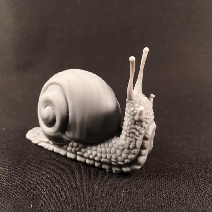 Snail - UNPAINTED - Animals & Creatures Minis