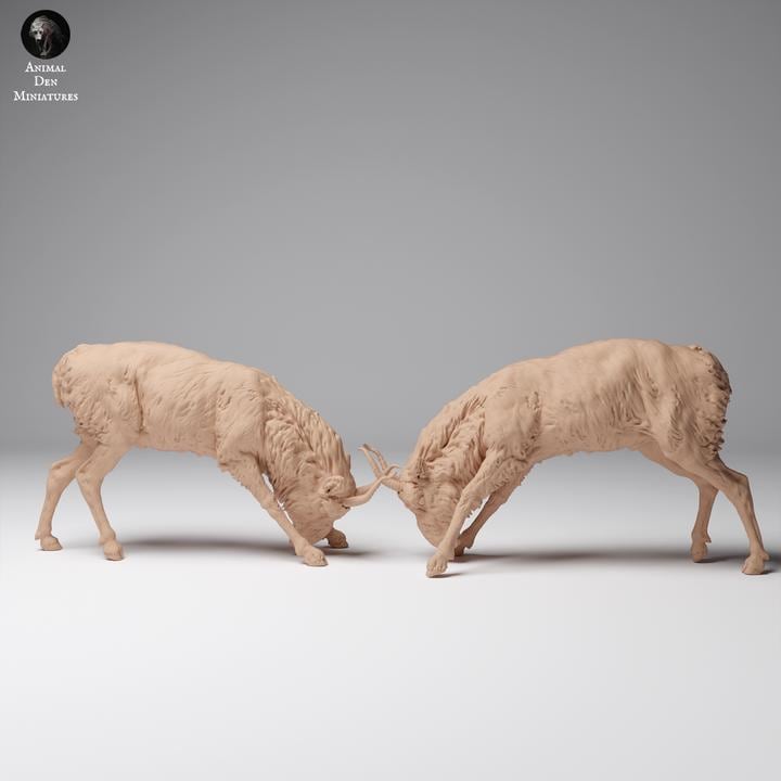 Mongolian Saiga Males Fight - UNPAINTED 3D resin print/figure - Animal Den Miniatures