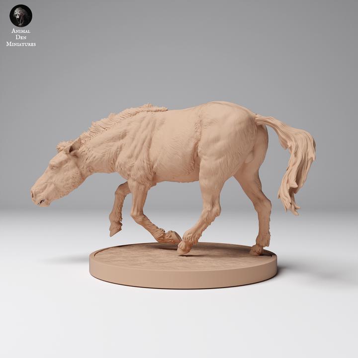 Przewalski’s Horse Running - UNPAINTED - Animal Den Miniatures