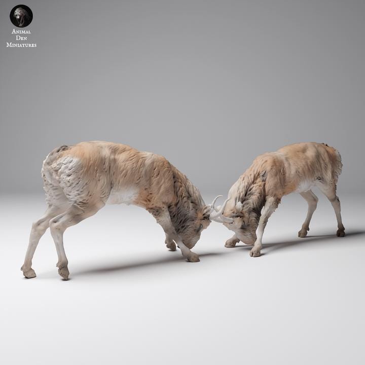 Mongolian Saiga Males Fight - UNPAINTED 3D resin print/figure - Animal Den Miniatures