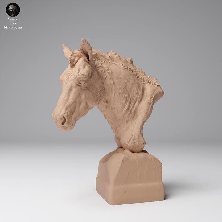 Przewalski’s Horse Bust - UNPAINTED - Animal Den Miniatures