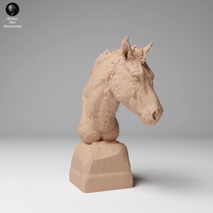 Przewalski’s Horse Bust - UNPAINTED - Animal Den Miniatures
