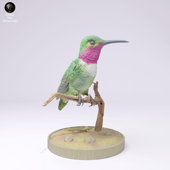 Broad-Tailed Hummingbird - UNPAINTED - Animal Den Miniatures