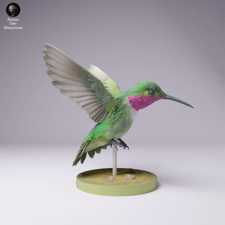 Broad-Tailed Hummingbird Flight - UNPAINTED - Animal Den Miniatures