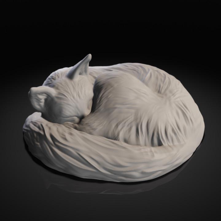 Sleeping cat - UNPAINTED - Animals & Creatures Minis
