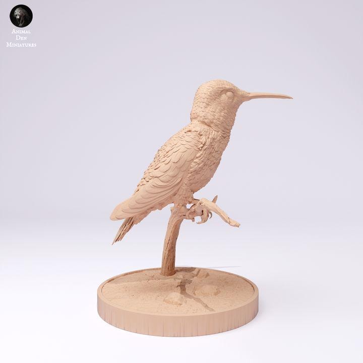 Broad-Tailed Hummingbird - UNPAINTED - Animal Den Miniatures
