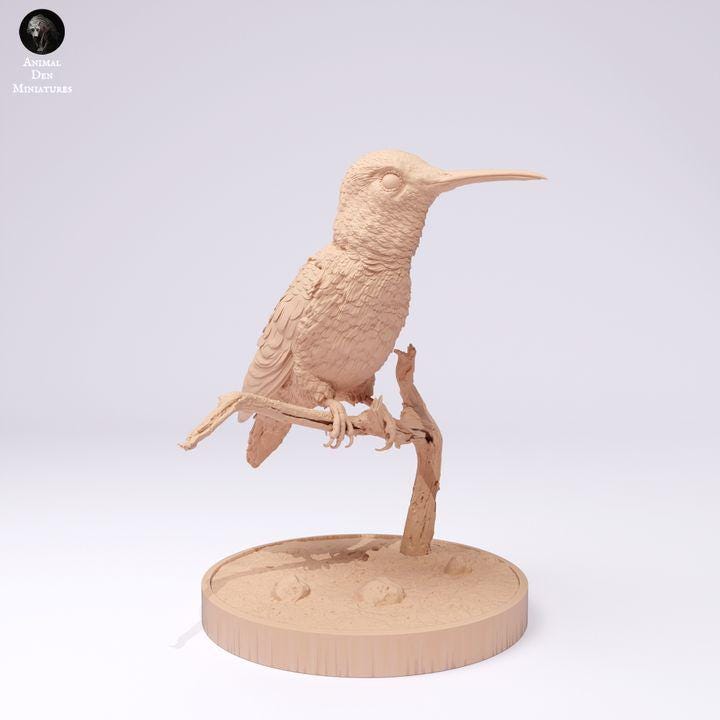 Broad-Tailed Hummingbird - UNPAINTED - Animal Den Miniatures