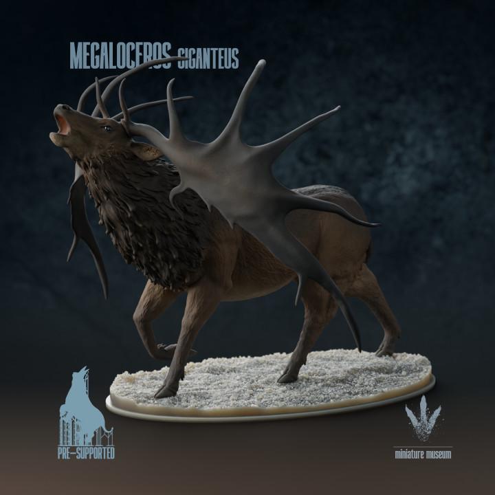 Megaloceros giganteus : Bellow - UNPAINTED - Miniature Museum