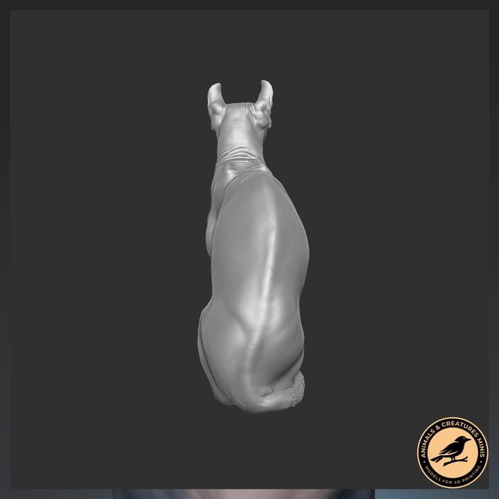 Sphynx cat - UNPAINTED - Animals & Creatures Minis