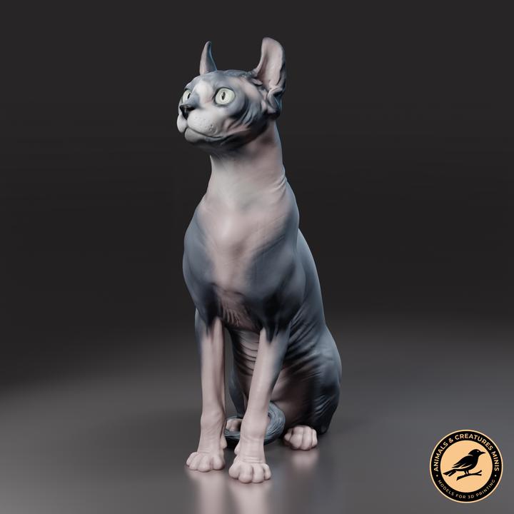 Sphynx cat - UNPAINTED - Animals & Creatures Minis