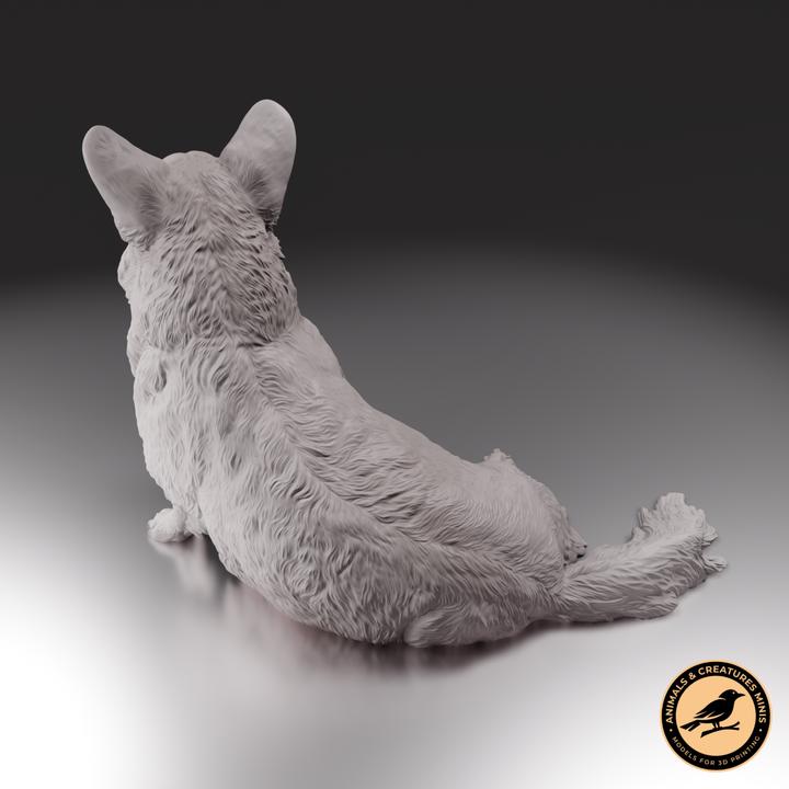 Corgi - UNPAINTED - Animals & Creatures Minis