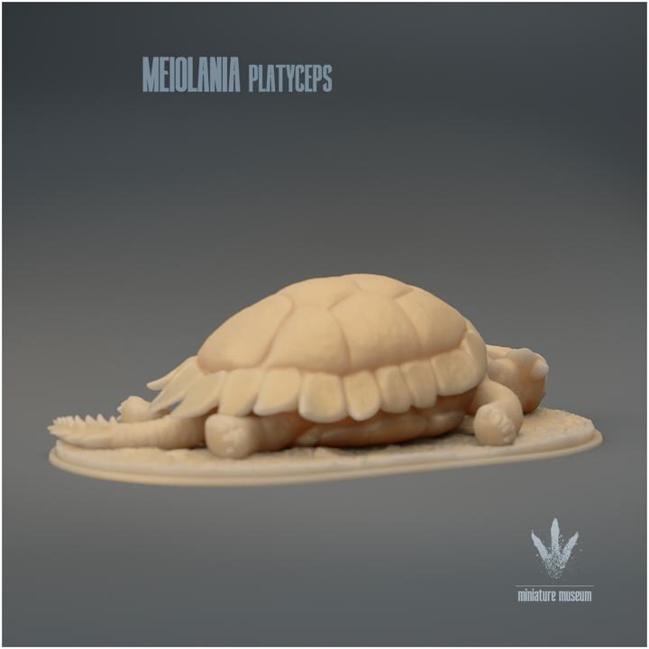 Meiolania platyceps : Resting - UNPAINTED - Miniature Museum