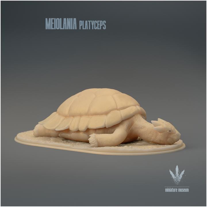 Meiolania platyceps : Resting - UNPAINTED - Miniature Museum